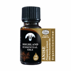 aniseed-pimpinella-anisum