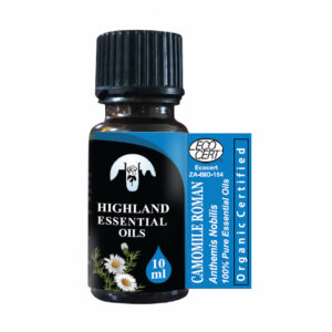 chamomile-roman-anthemis-nobilis