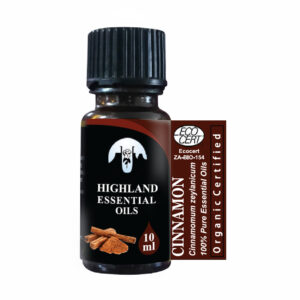 cinnamon-bark-cinnamomum-zeylanicum