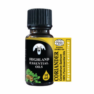 Coriander (Coriandrum sativum)