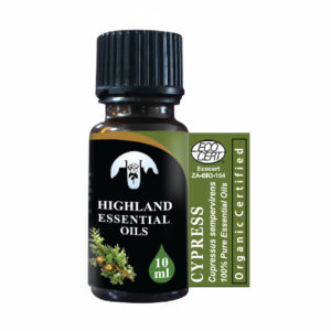 Cypress (Cupressus sempervirens)