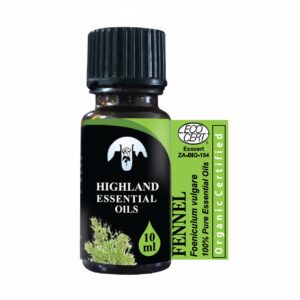 Fennel (Foeniculum vulgare)