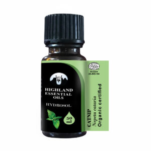 Catnip (Nepeta cataria)