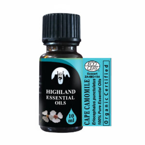 Chamomile Cape (Eriocephalis puntulatus)