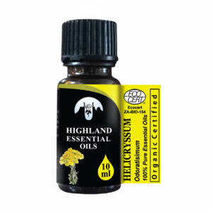 Helichryssum (Helichryssum odoratisimun)