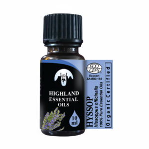 Hyssop (Hyssopus officinalis)