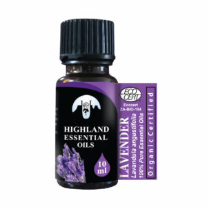 Lavender (Junipers communis)