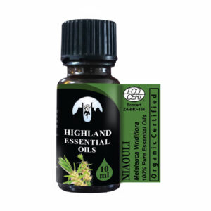 niaouli-maleleuca-viridiflora