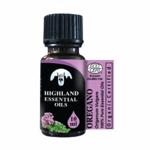 oregano-origanum-vulgare