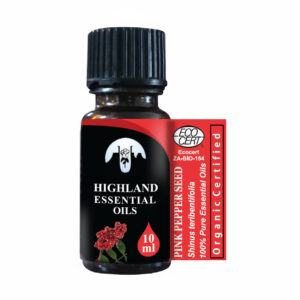 pink-pepperseed-shinus-terebetifolia