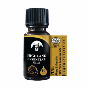 pine-pinus-sylvestris