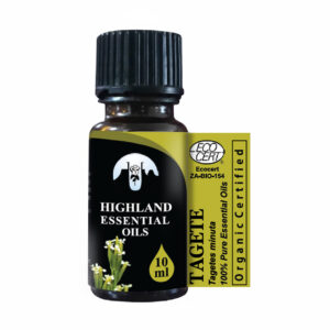 thyme-thymus-vulgaris