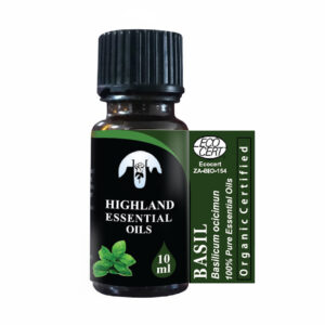 basil-basilicum-ocicimum